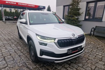 Import Niemcy/ DSG/ Stan idealny